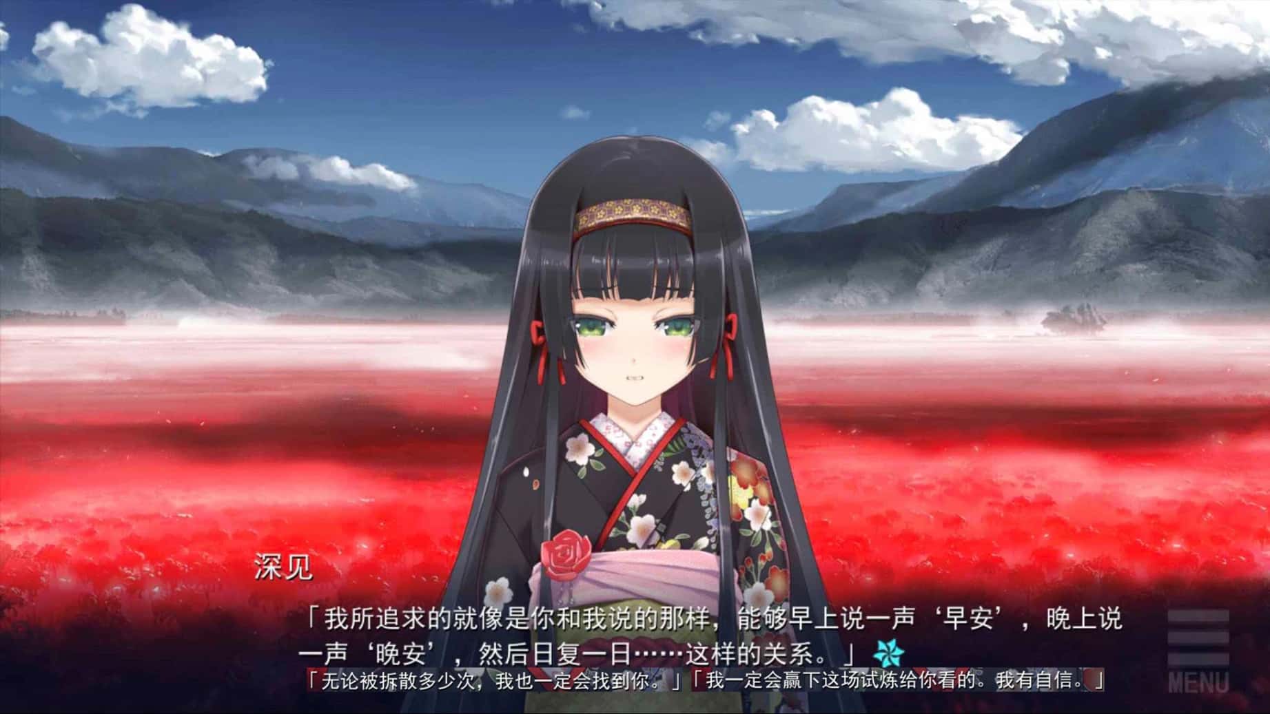 视觉数据3