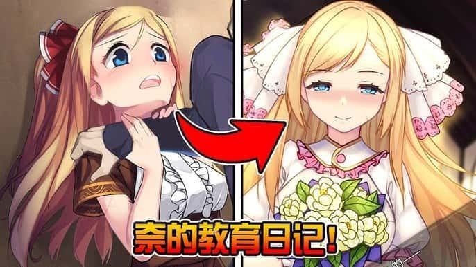 奈的教育日记 中文界面 展示图 2